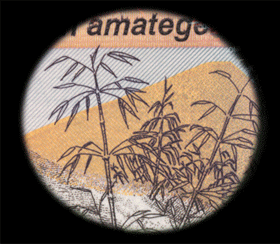 2_Granus_detail_intaglio