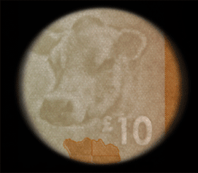 5_Granus_detail_watermark